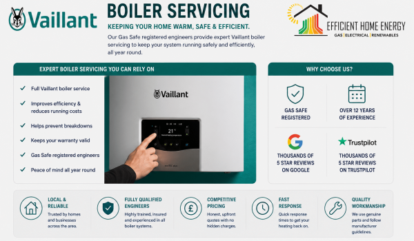 Boiler Service Completed on a Vaillant Boiler, Islington N1